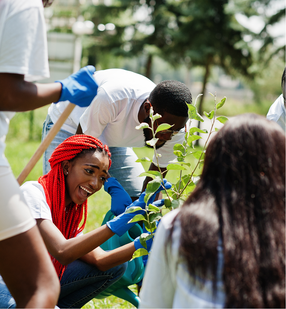 An image illustrating partnering